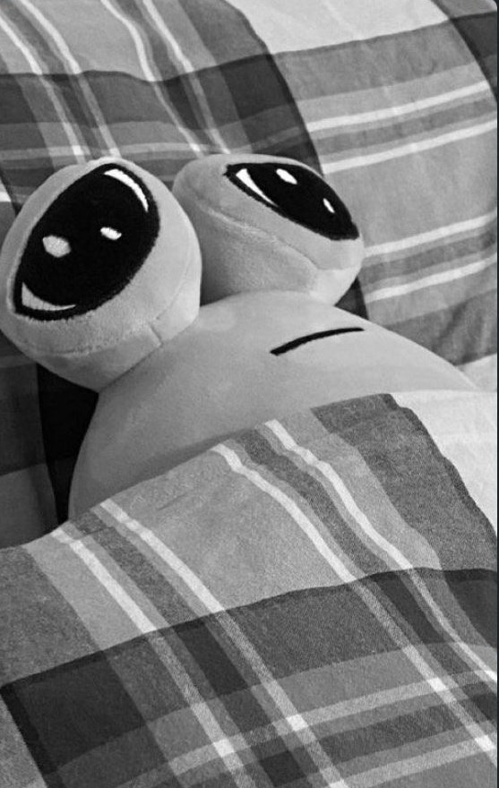 amirparsa666's tweet photo. وقتی میفهمی آینده ات بستگی به خودت داره ... https://t.co/sWyRcD0k7n