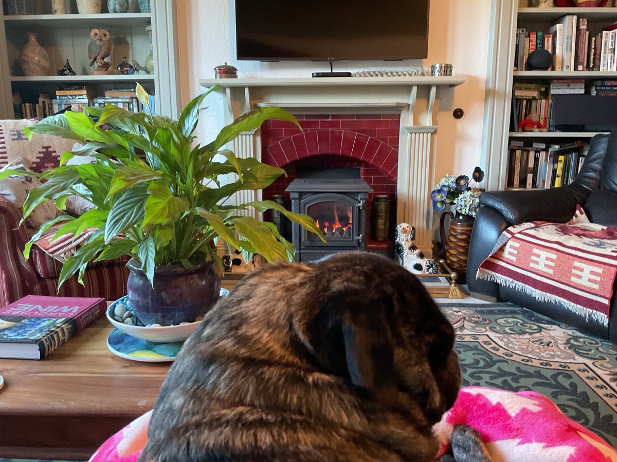 The Brindled Brothers tweet media