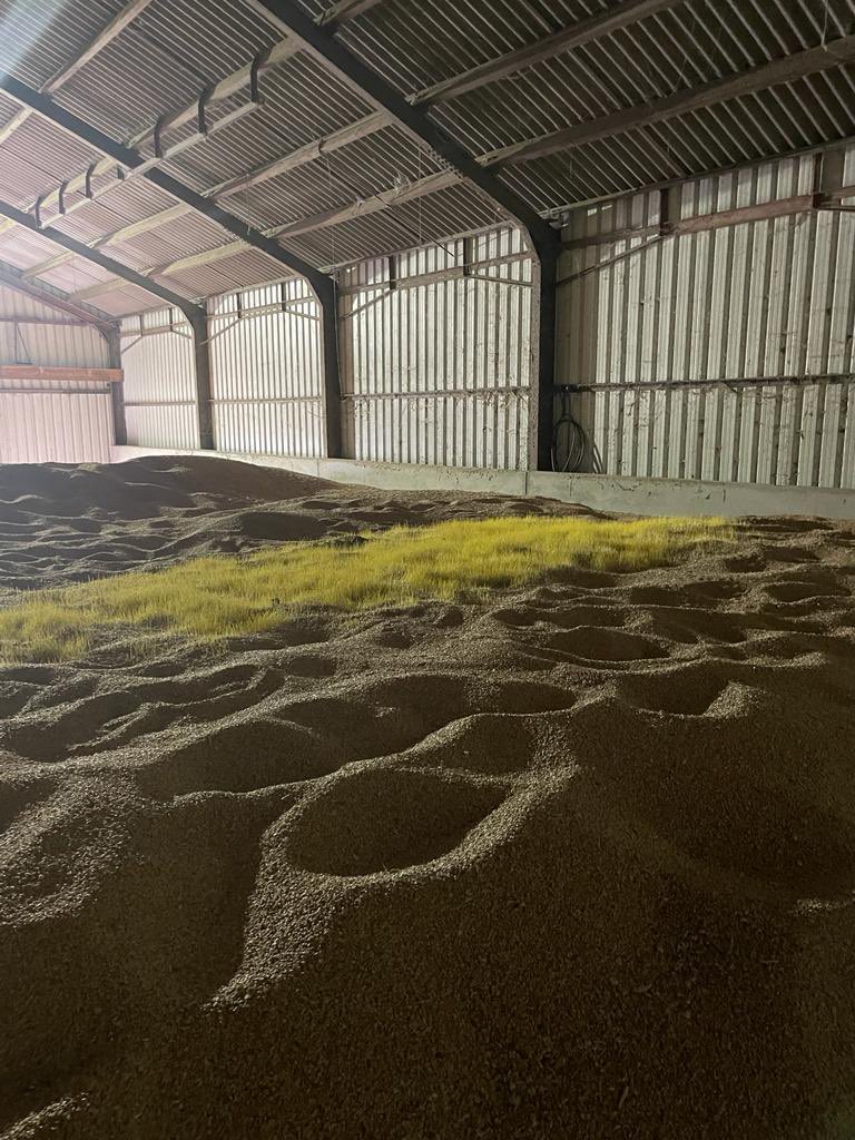 Paul Davey 🚜🌾🐑🚛🏴󠁧󠁢󠁥󠁮󠁧󠁿🏉 tweet media