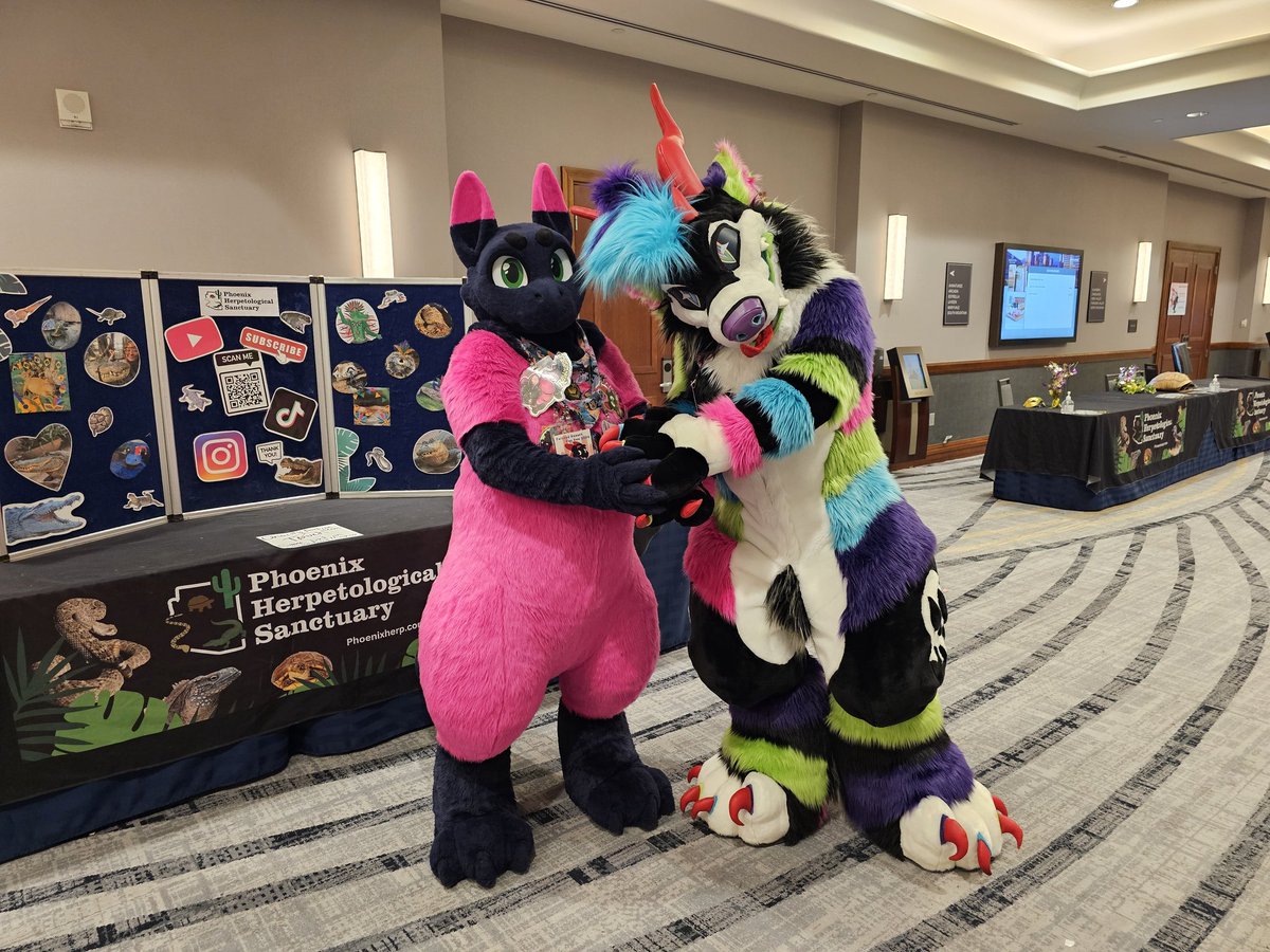 RabbitasaurIRL's tweet photo. What if we held hands in front of the Phoenix herpetological sanctuary table?? 🥹💖🦎
@GummyKaiju 
#fursuit #furries #PDFC2024 https://t.co/G0yKpheqNJ