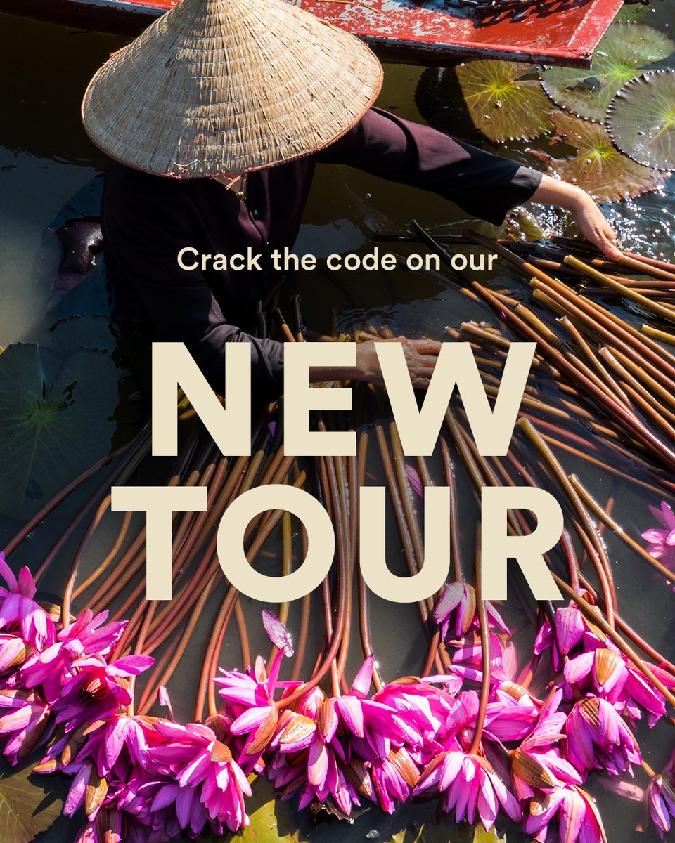 goaheadtours's tweet photo. Where do you think our NEW ASIA TRIP goes? Hint: It has grandiose limestone isles, speedy rickshaws, and serene rice paddies. See if you’re right: https://t.co/xQJnKg4axO #NewTour #GuidedTrip #AsiaTours #AsiaTrip #2024Travel #TravelDestinations #AsiaTravel #HaLongBay https://t.co/jMyyOHPdWB