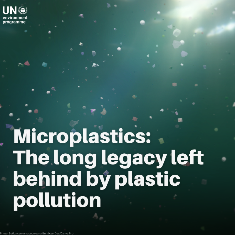 UNEP's tweet photo. Every year, over 430 million tonnes of plastic are produced, with 2/3 becoming short-lived waste. Microplastics, less than 5mm in diameter, seep into our oceans, causing harm to aquatic life and human health.

Urgent action is needed to stem this tide of plastic pollution.