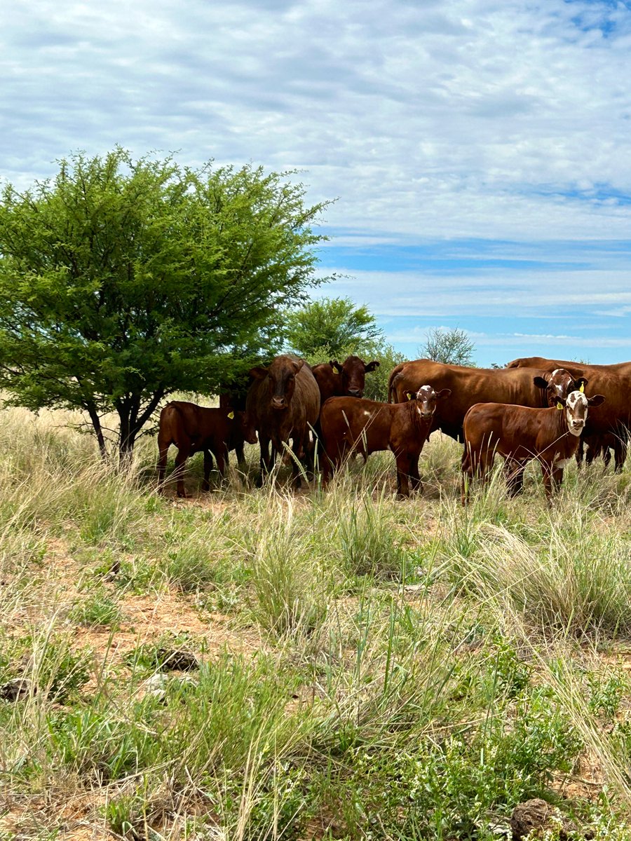 Lord thank you for sunshine, thank you for rain. It’s a beautiful day.