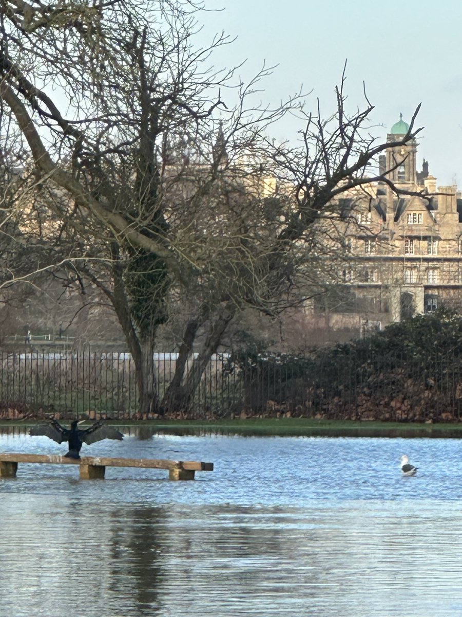 Lee Bellion tweet media