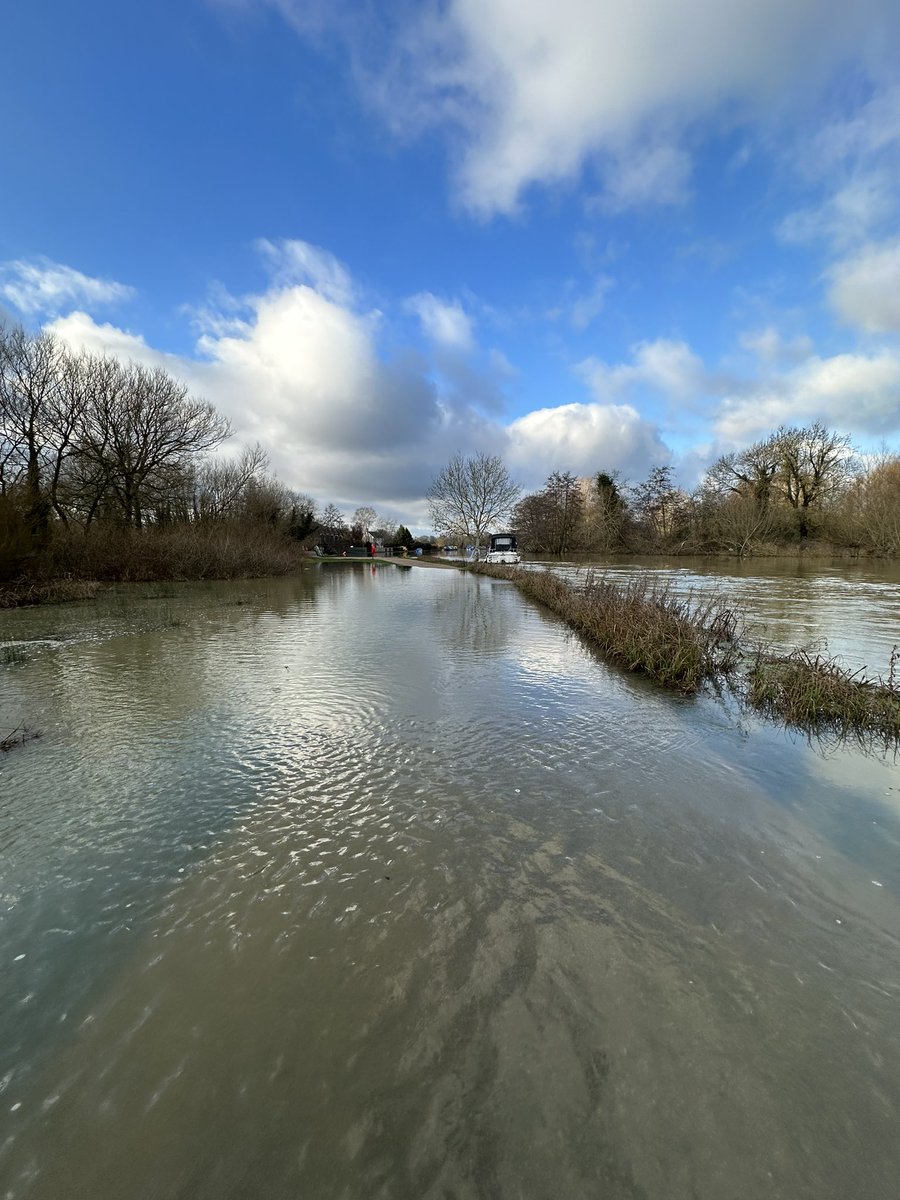 Lee Bellion tweet media