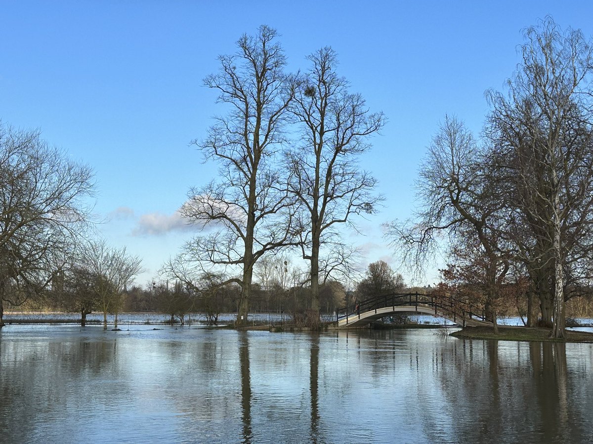 Lee Bellion tweet media