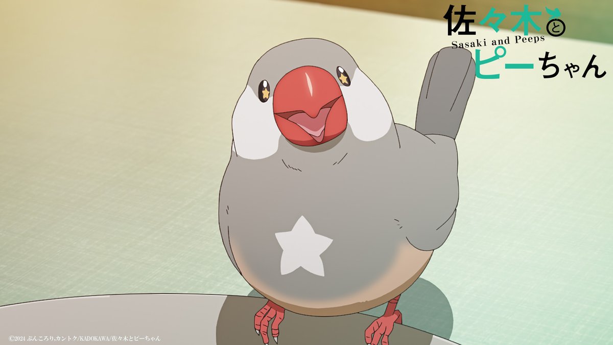 来週もまた見て頂けたら幸いです！