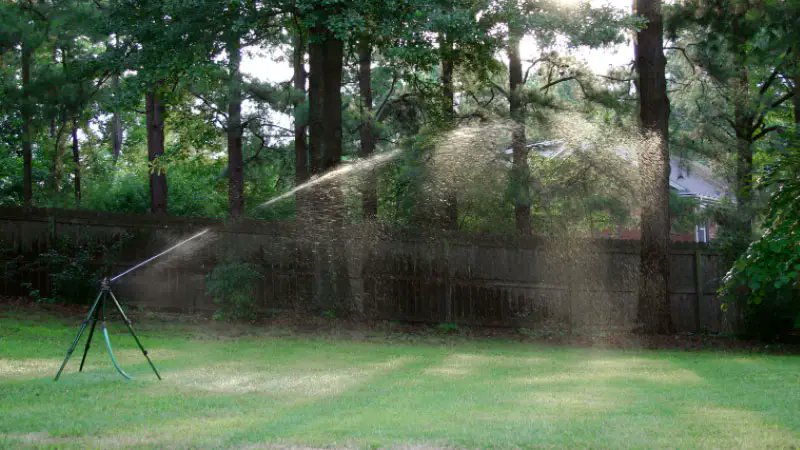 thefrygroupmn's tweet photo. When it comes to keeping your garden hydrated it may seem like there aren’t many affordable alternatives to underground sprinkler systems, but that isn’t necessarily the case! There are
 https://t.co/TYRzduy2jl https://t.co/ZTxiEzRzE3
