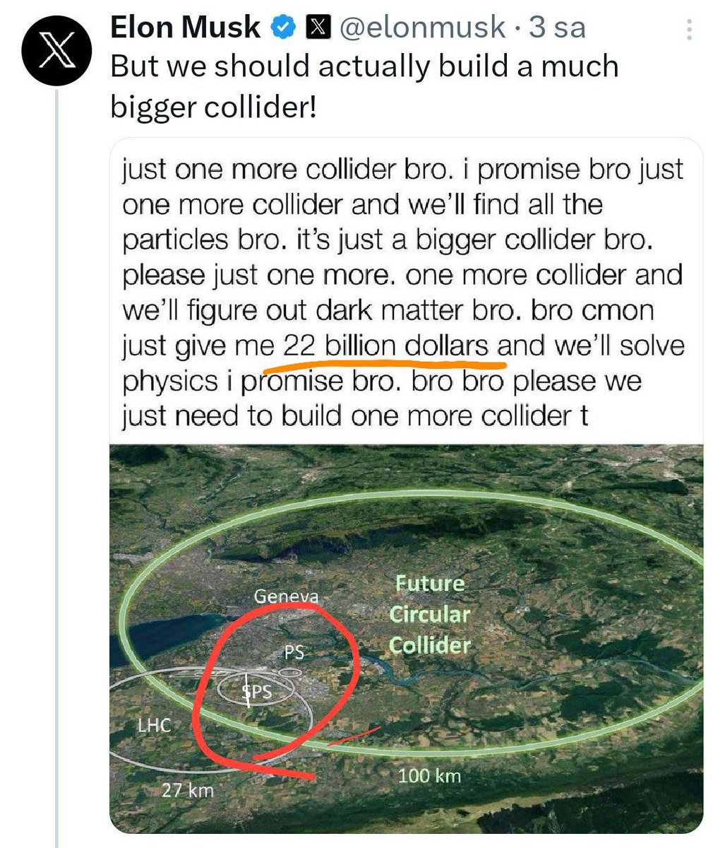 Senjamin Button 🐅 tweet media