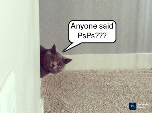 Cripto Notitia tweet media