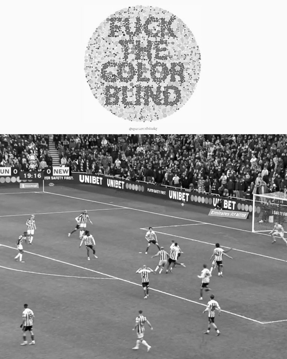 David Holland tweet media