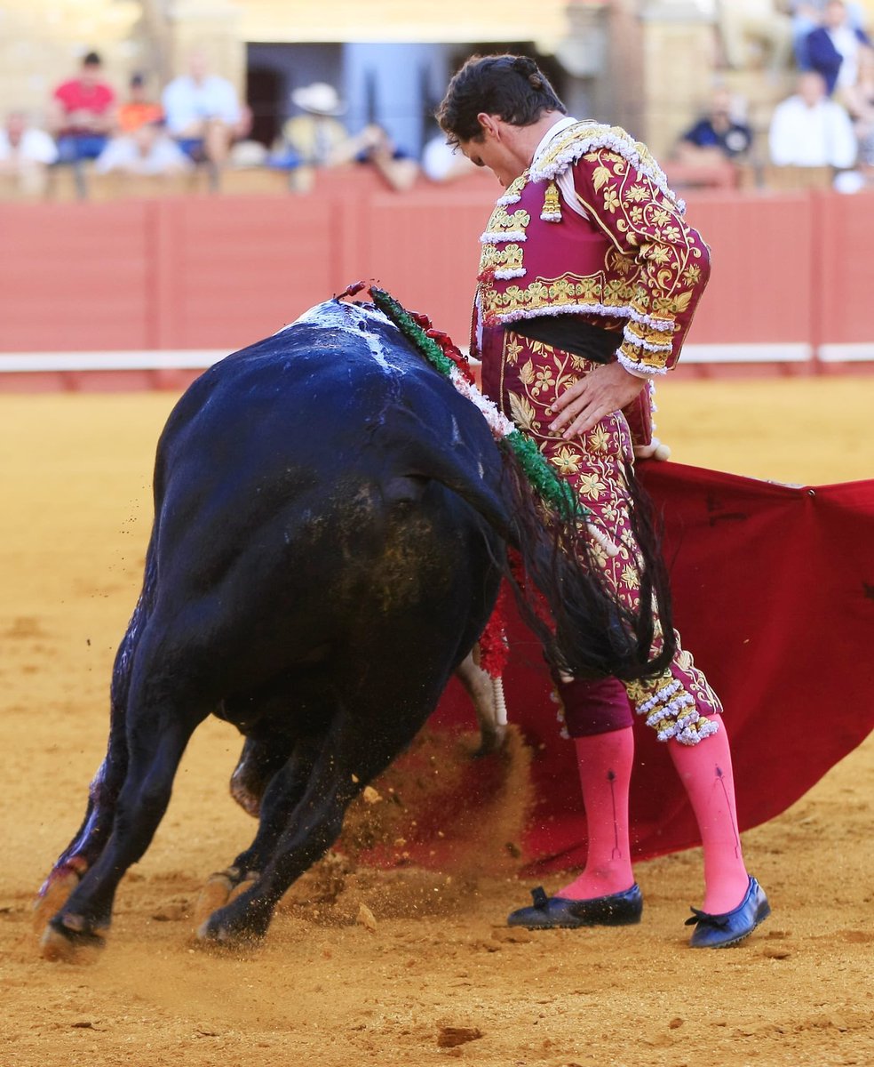 Pablo Blázquez🇪🇸 tweet media