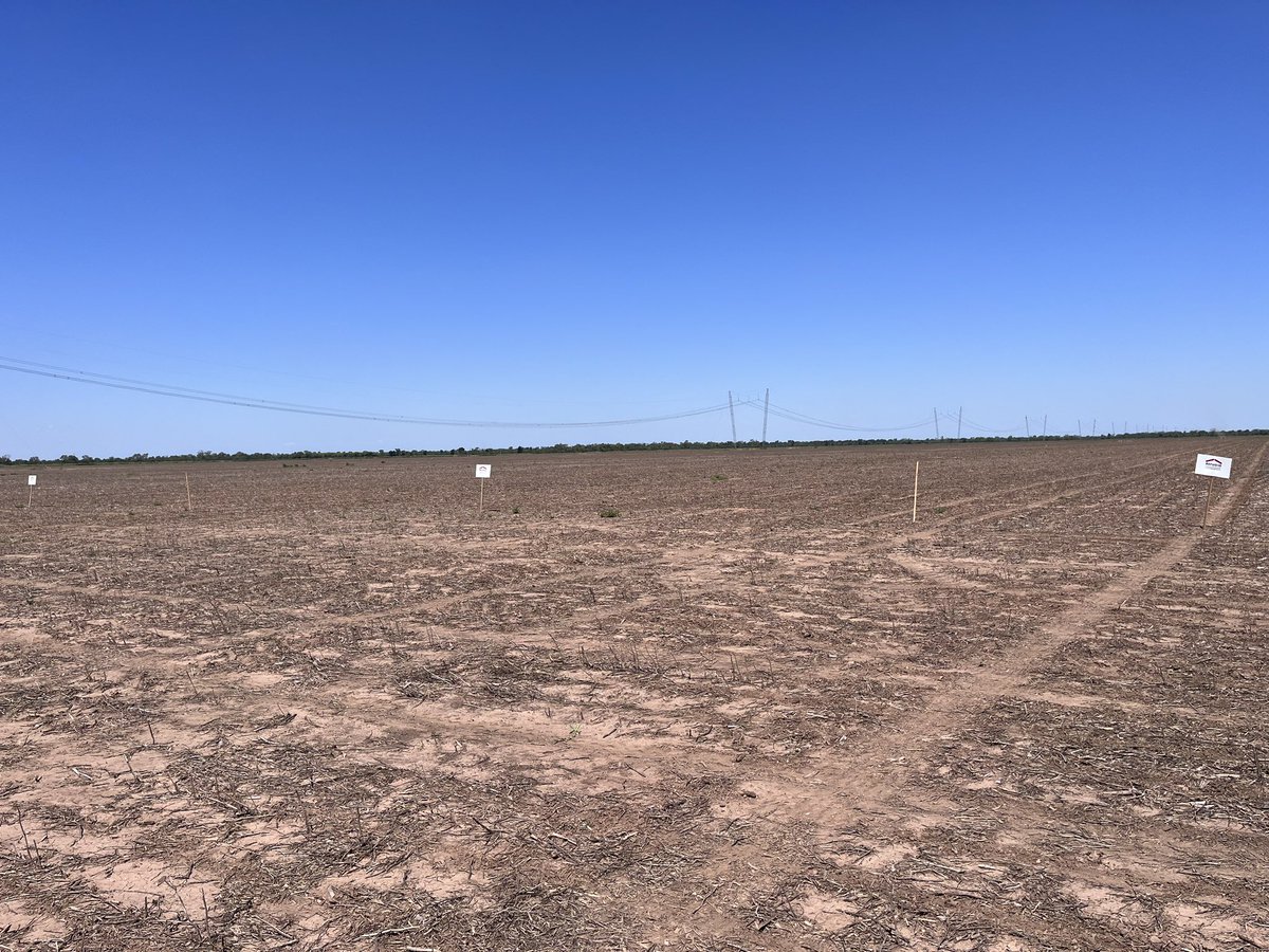 lisandroa35's tweet photo. Siembra de ensayos con @CubriaGuillermo  en la localidad de Pampa del Infierno,Chaco.
Gracias a nuestro distribuidor por el  acompañamiento.
🚜🌽🌽
@grupopampaagro 
@bessone_leandro 
@ALZ_Agro 
@semillasnord https://t.co/xIkPb0efHE