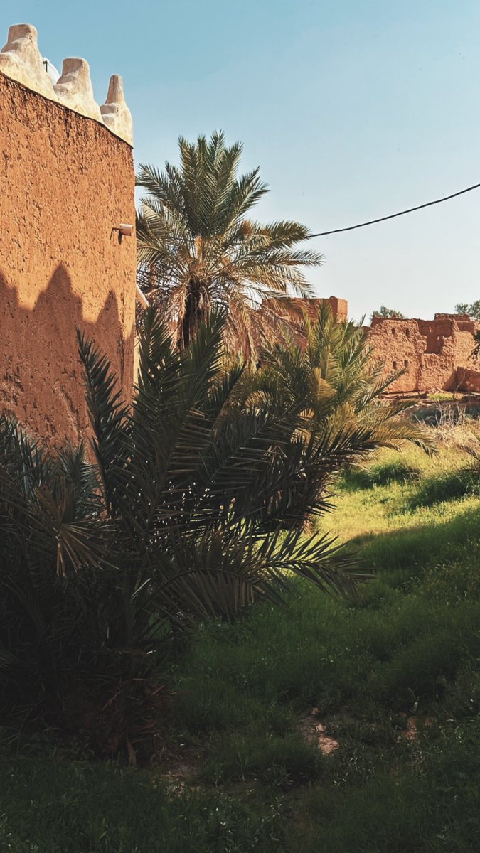 عبدالعزيز السالم🐘 tweet media