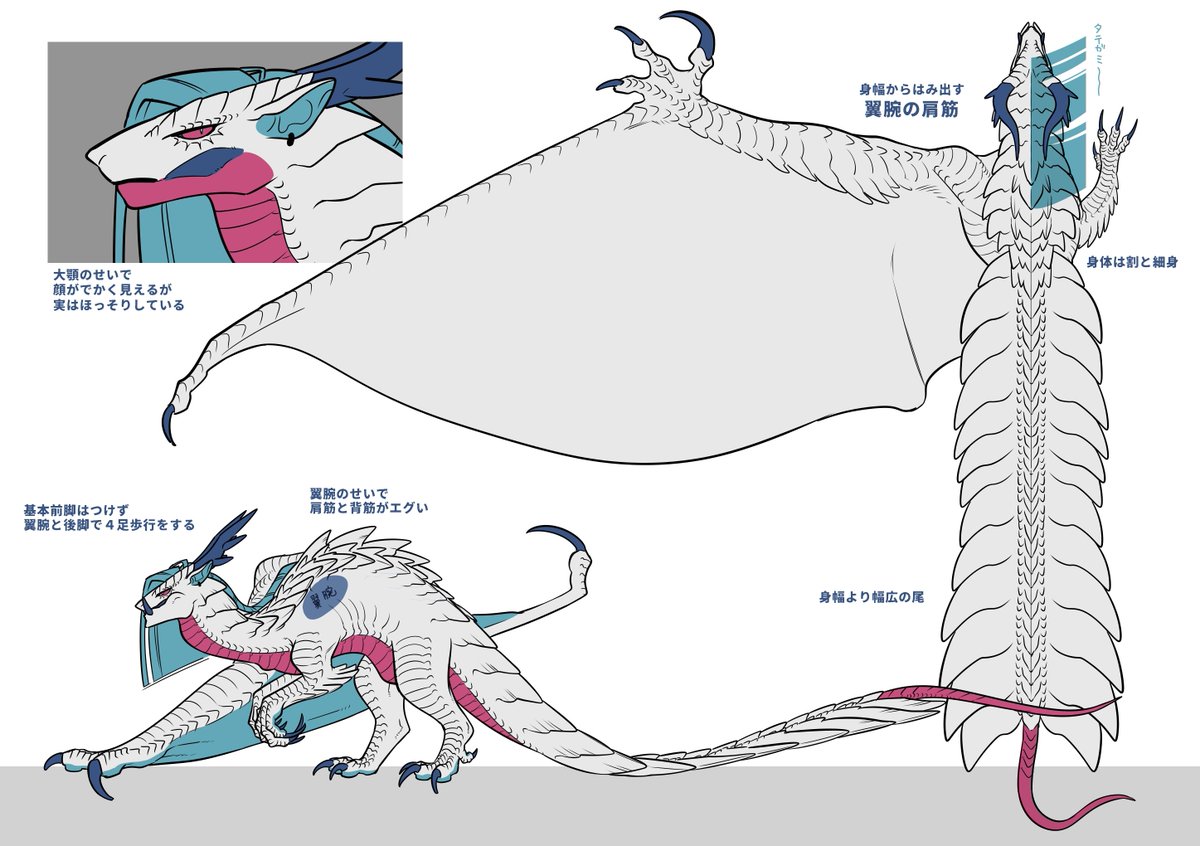 OC🐉
人類デストロイヤーことカミラヤ・ラーナヤのおメモ 
