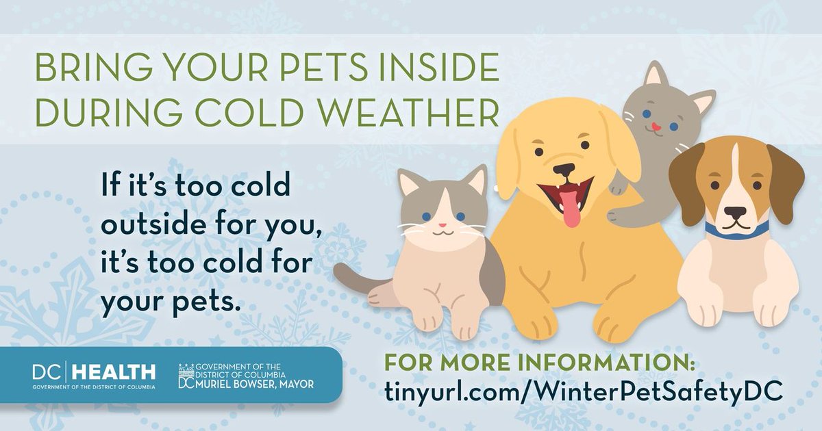 If it’s too cold outside for you, it’s too cold for your pets. Keep pets indoors during periods of extreme cold. For more information: tinyurl.com/WinterPetSafet…