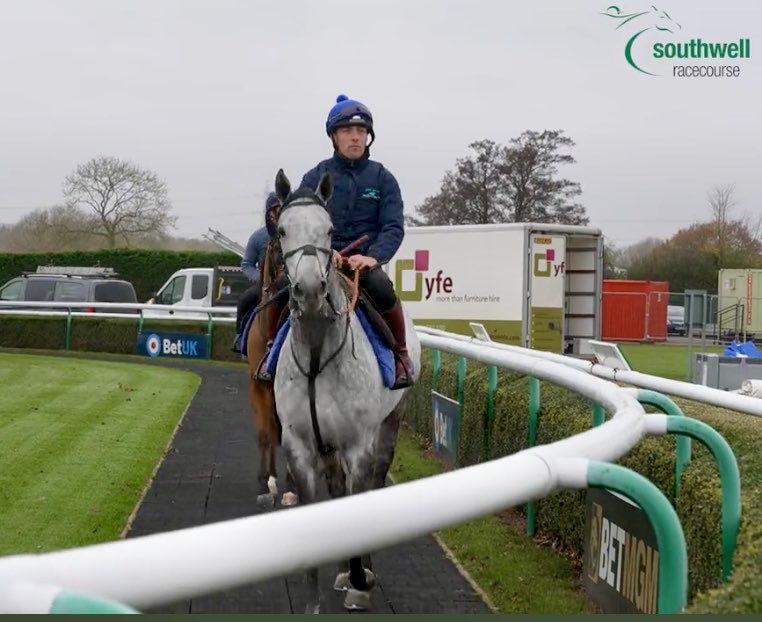 RobinHoodRacing's tweet photo. Good afternoon. I’m sorry that some of my fans are unable to see my live @Southwell_Races due to the 🌊 However you can watch on @AtTheRaces 6pm. Please cheer me on. ❤️Boycie #kathstoyboy #flyinggrey https://t.co/je3U8OEP3w