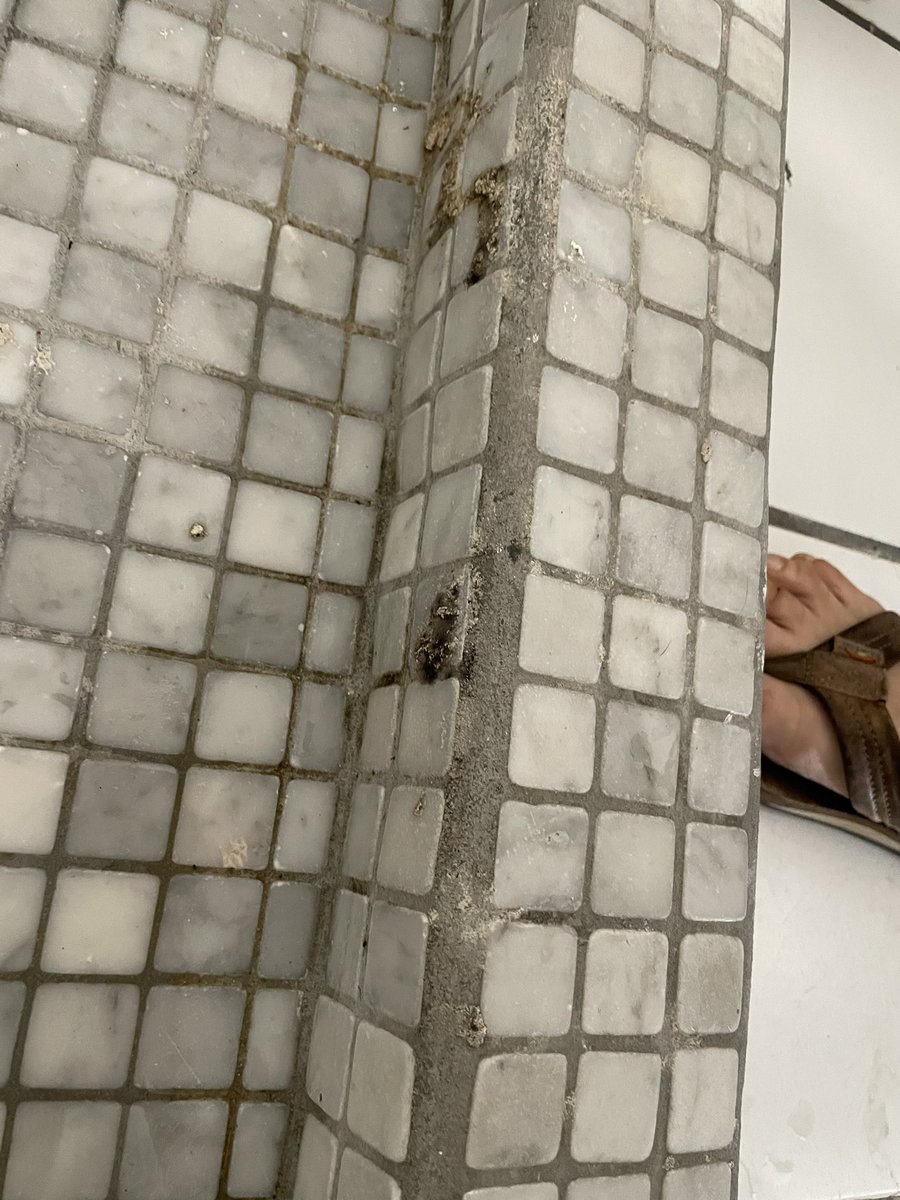 AmericanWoman_5's tweet image. My favorite part of @vrbo and @VrboPolicy is spending all day dealing with outsourced workers with an unsafe house while eventually being dismissed over lack of concern over black mold, cleanliness, loose deadbolts, etc. Thanks for making our wedding weekend great!