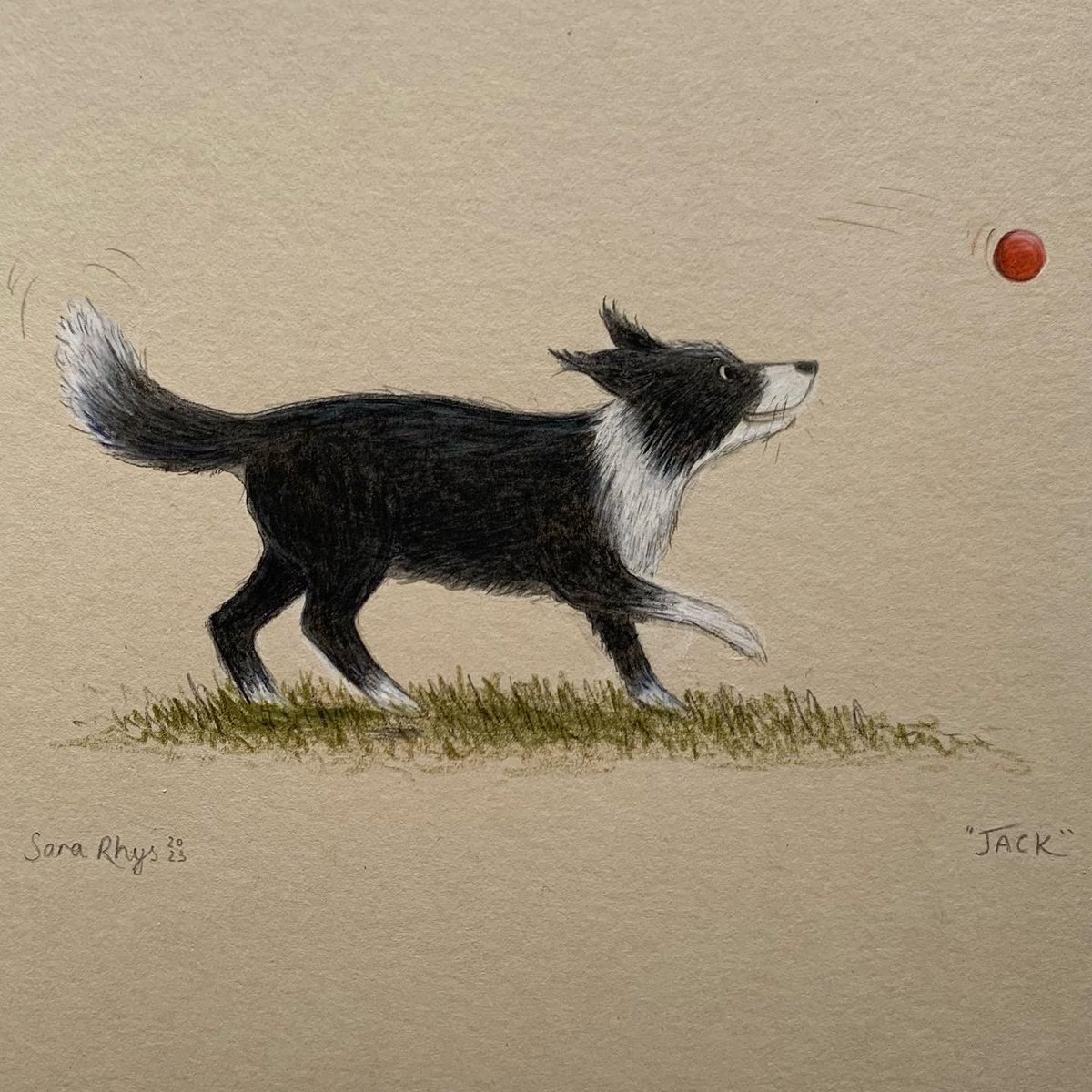 A Good Boy called Jack