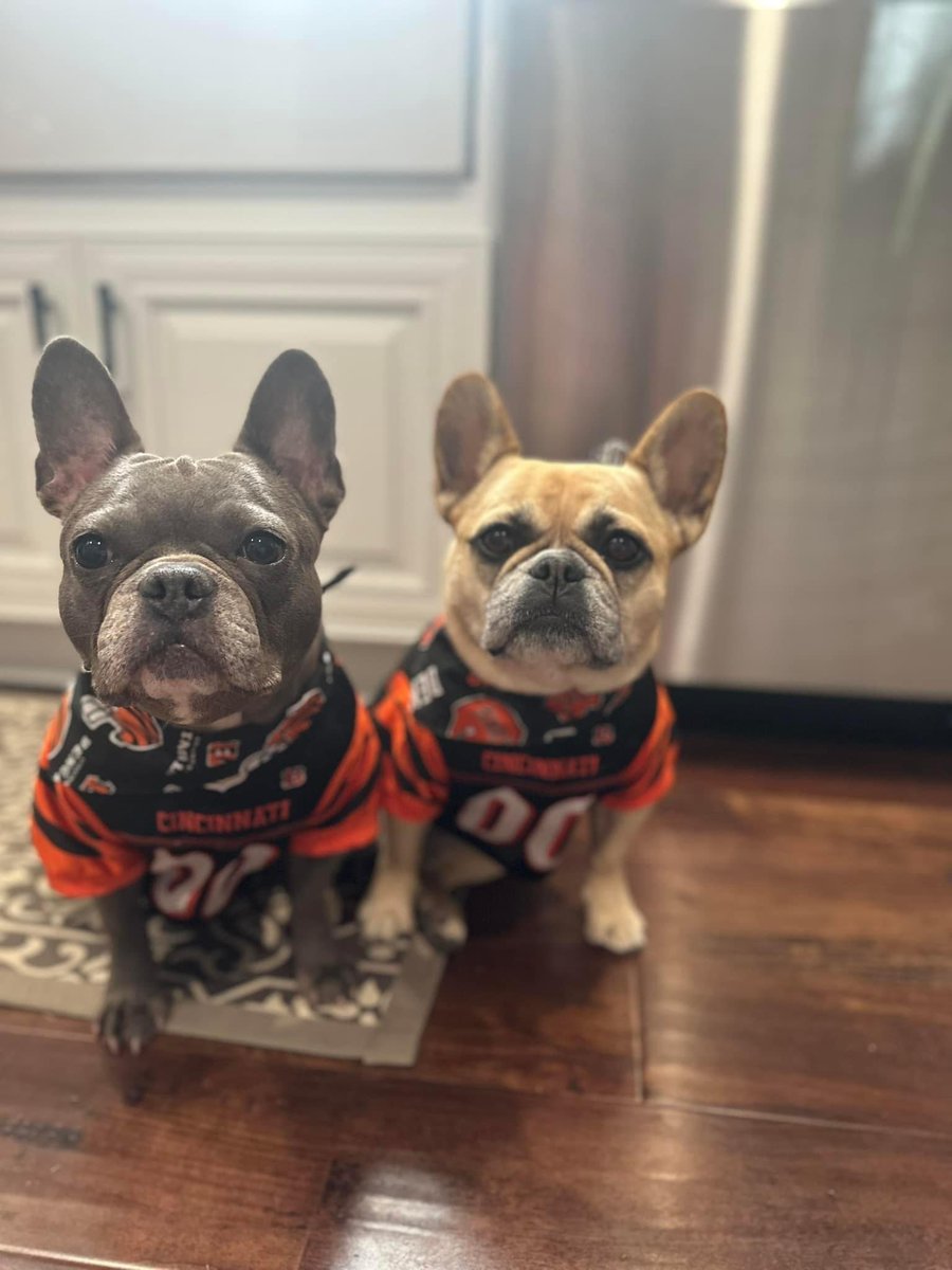 lmh3chicksmom's tweet photo. The girls are all in! 

#WPMOYChallenge          Karras
#WPMOYChallenge          Karras
#WPMOYChallenge          Karras
#WPMOYChallenge          Karras
#WPMOYChallenge          Karras
#WPMOYChallenge          Karras
#WPMOYChallenge          Karras https://t.co/QtwSaXBQZW