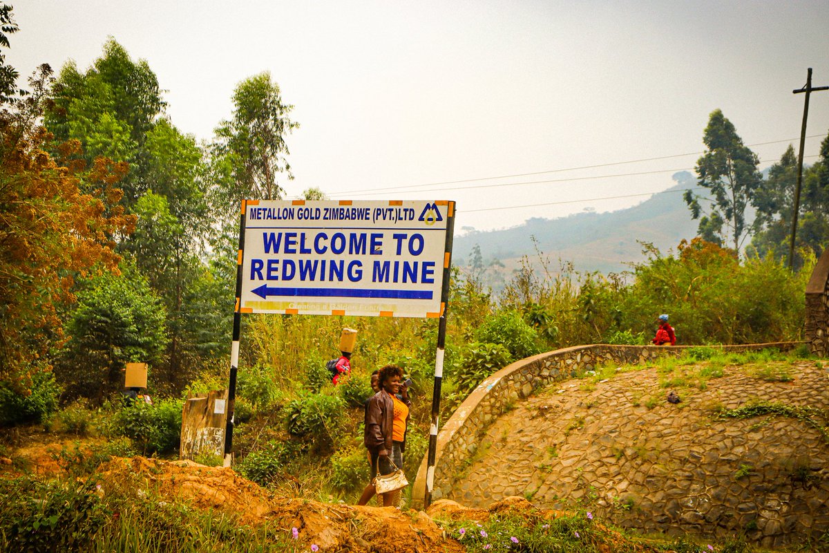 CNRG Zim tweet media