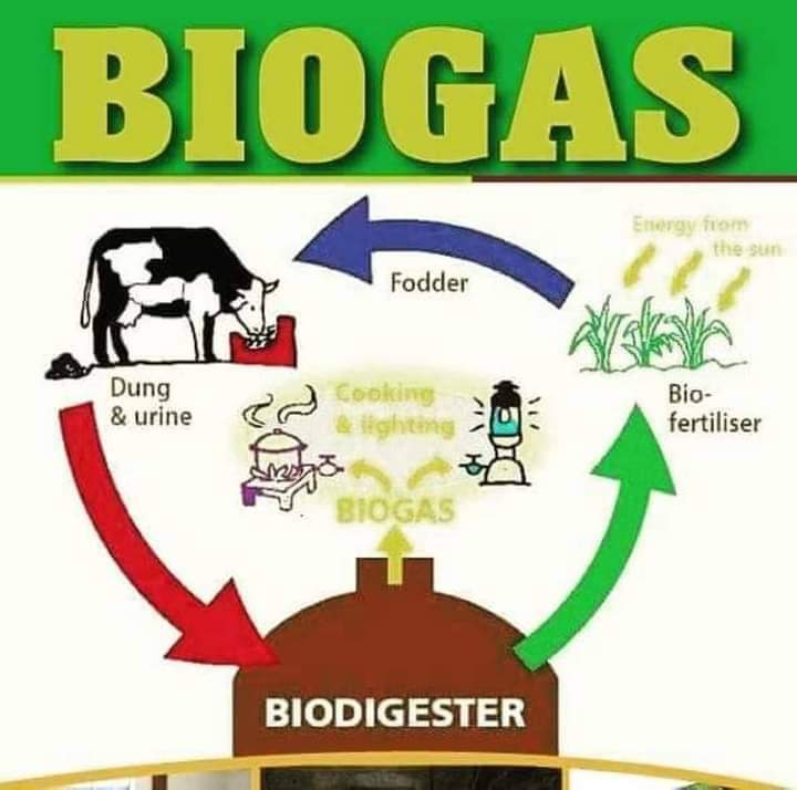 BMRECYCLE's tweet photo. 4. 💰 Cost-Efficient: Not just economical but FREE! The only cost involved is setting up your biogas plant, offering sustainable power without breaking the bank. https://t.co/BeJNcQAVp1