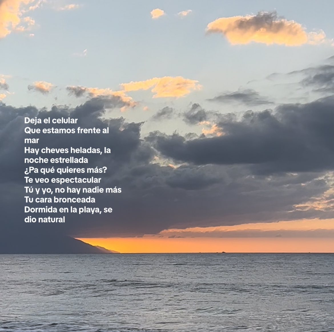 elcaloncho's tweet photo. 🐦 🌊 🌴 https://t.co/SzhWoynFXS