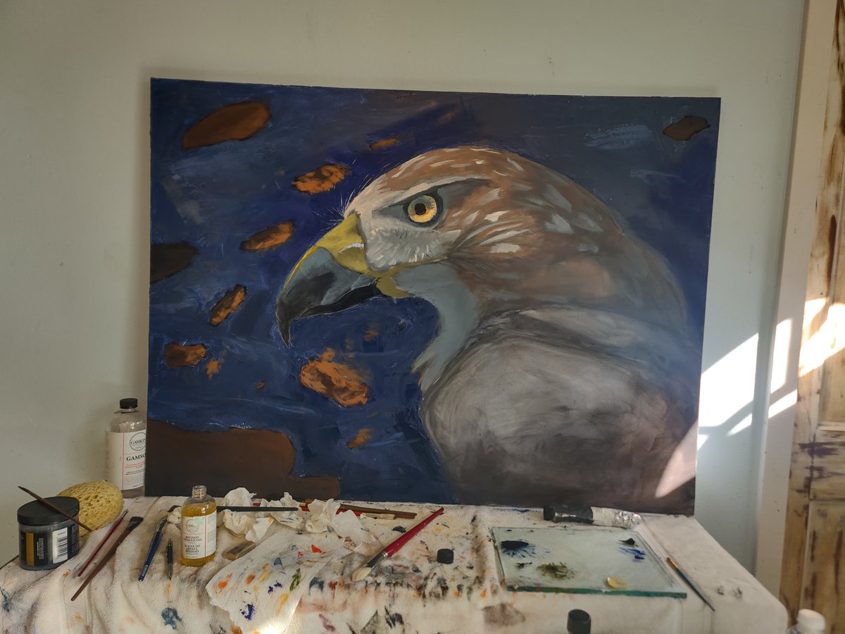 Meto44831472's tweet photo. Today's progress on this lovely red-tailed hawk https://t.co/ioafGx162R