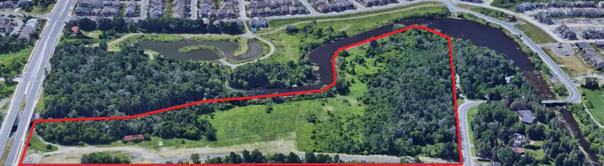 David Hill tweet media