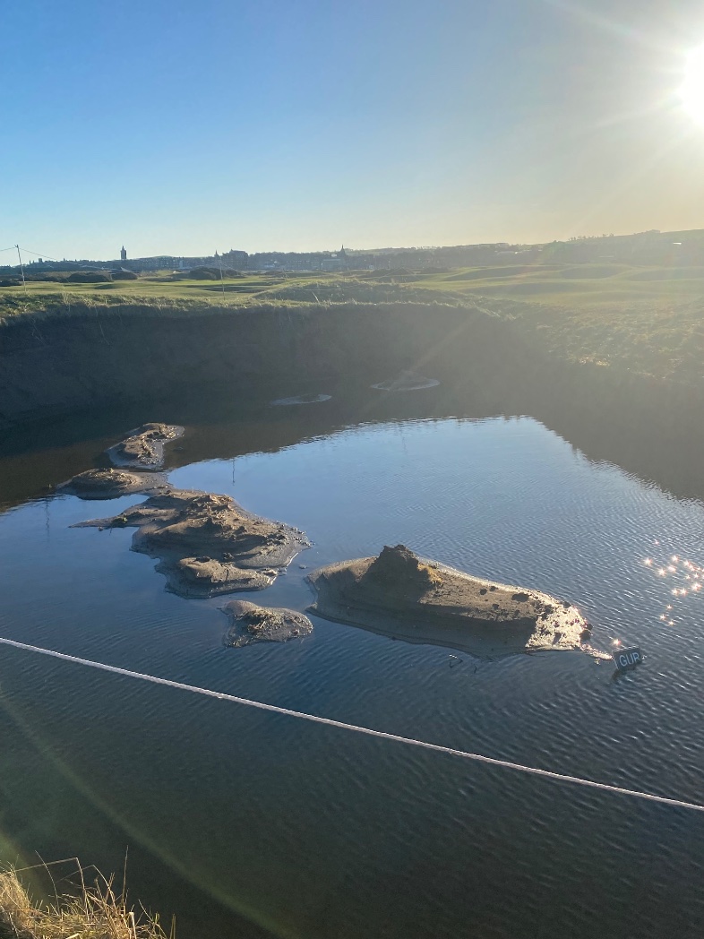 Thomas Marr tweet media