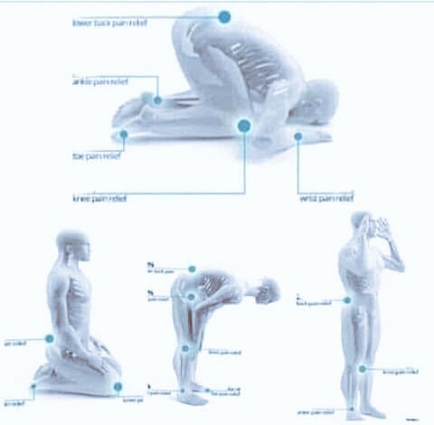 سجدة الشكر تساوي كنوز الدنيا و الآخرة أقرأ بتمعن

فضل سجدة الشكر أغلبنا يفتقد فضلها ولا يعرف كيفيتها.

- تابعني وتابـع السـرد للاستفادة❤️