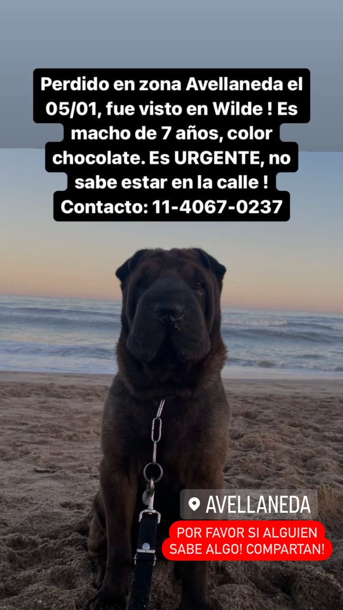 ayelenmgiani's tweet image. POR FAVOR RETWITEEN! Necesitamos encontrarlo!