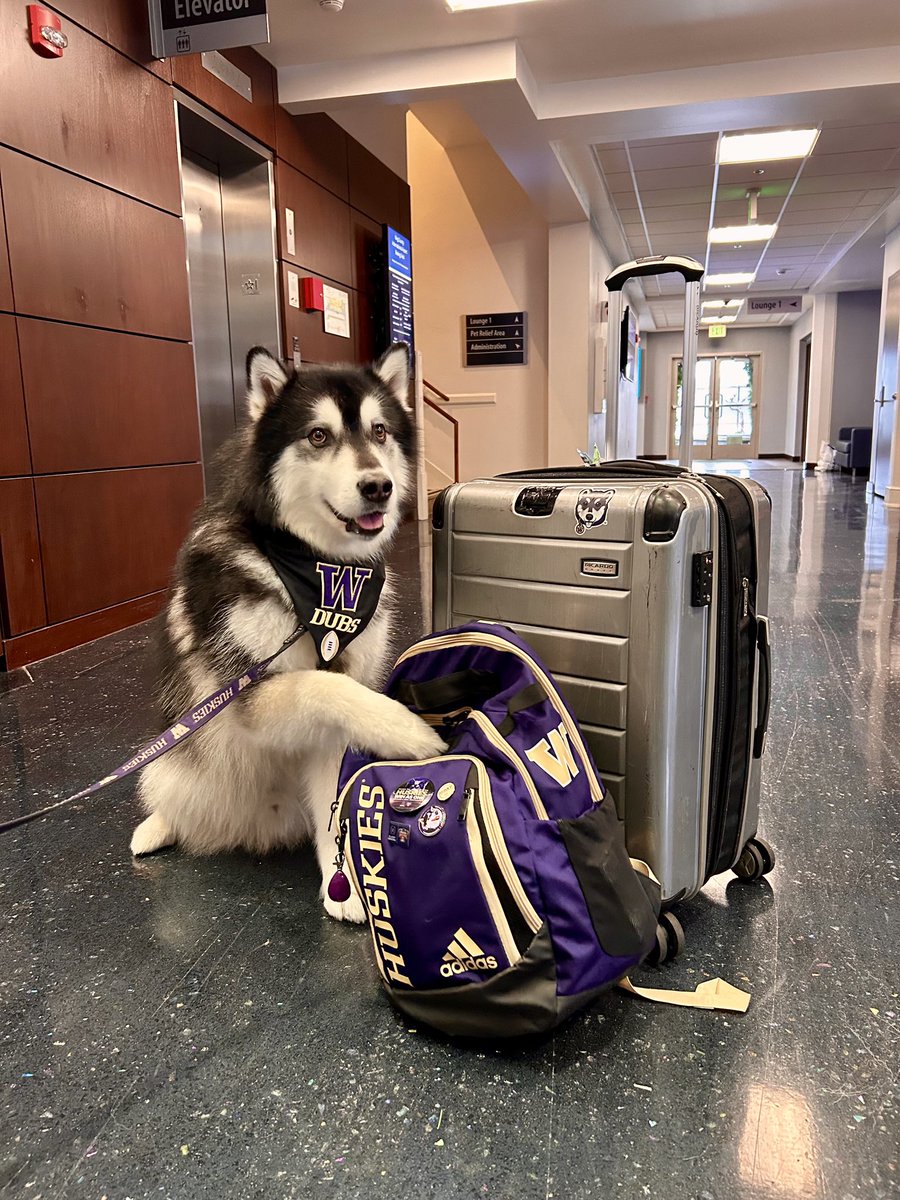 All packed up and ready to go! 🐾