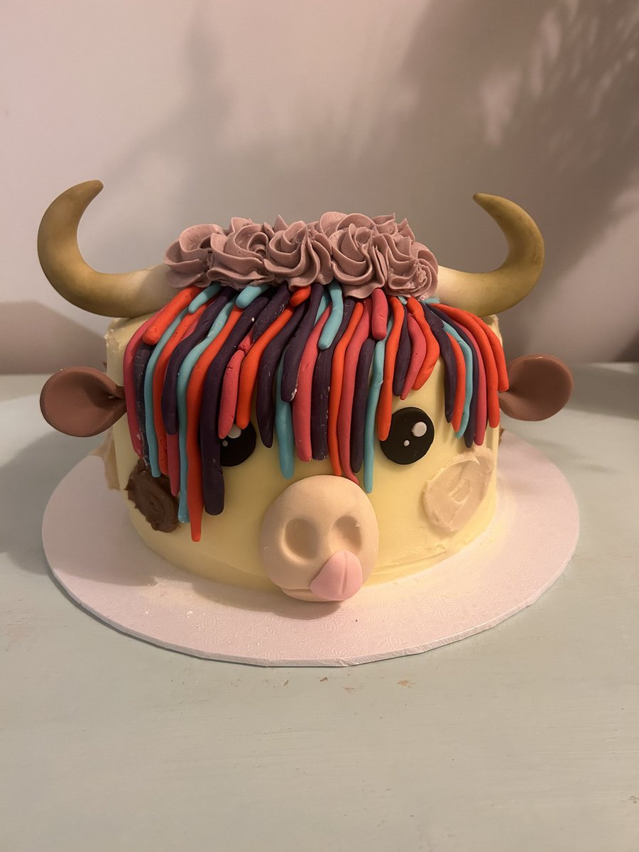 My favourite birthday cake ever! Glad I tried my hand at a highland cow, she’s turned out exactly as I imagined!