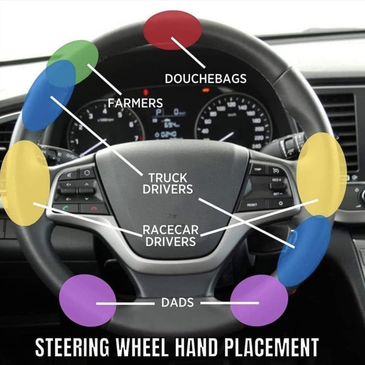 Scanachi tweet media