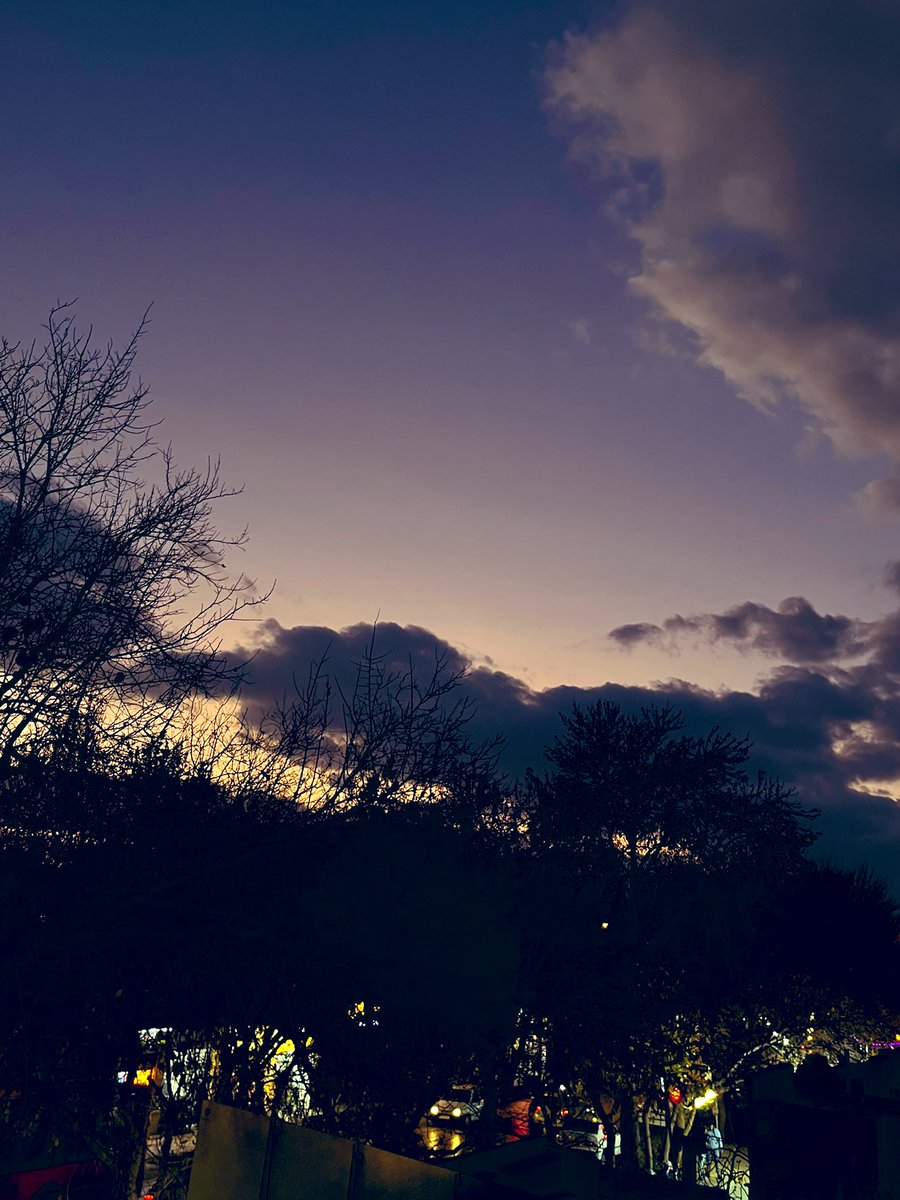 sohheill tweet media