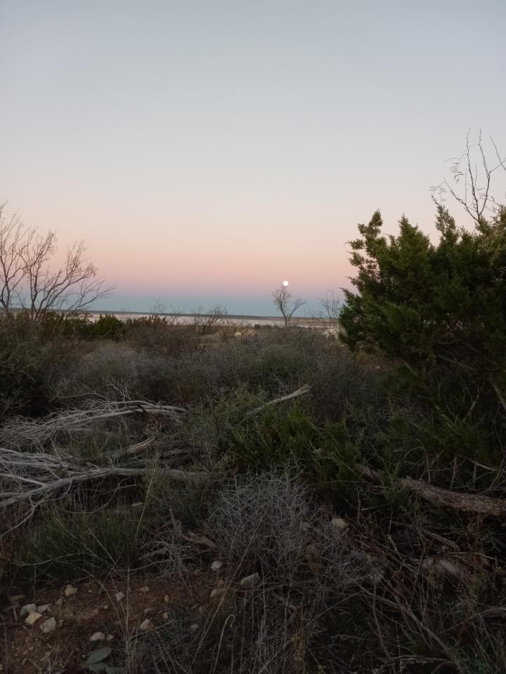 RanchEmu's tweet photo. The last full moon in Texas! Beautiful sunset and moon rise! We have some homestead shots coming up soon! ~ Penni
#montanaemuranch #Texas #texaslife #TexasMoon #moonrise #moonrisemagic #sunset https://t.co/GMIwWjN0XZ