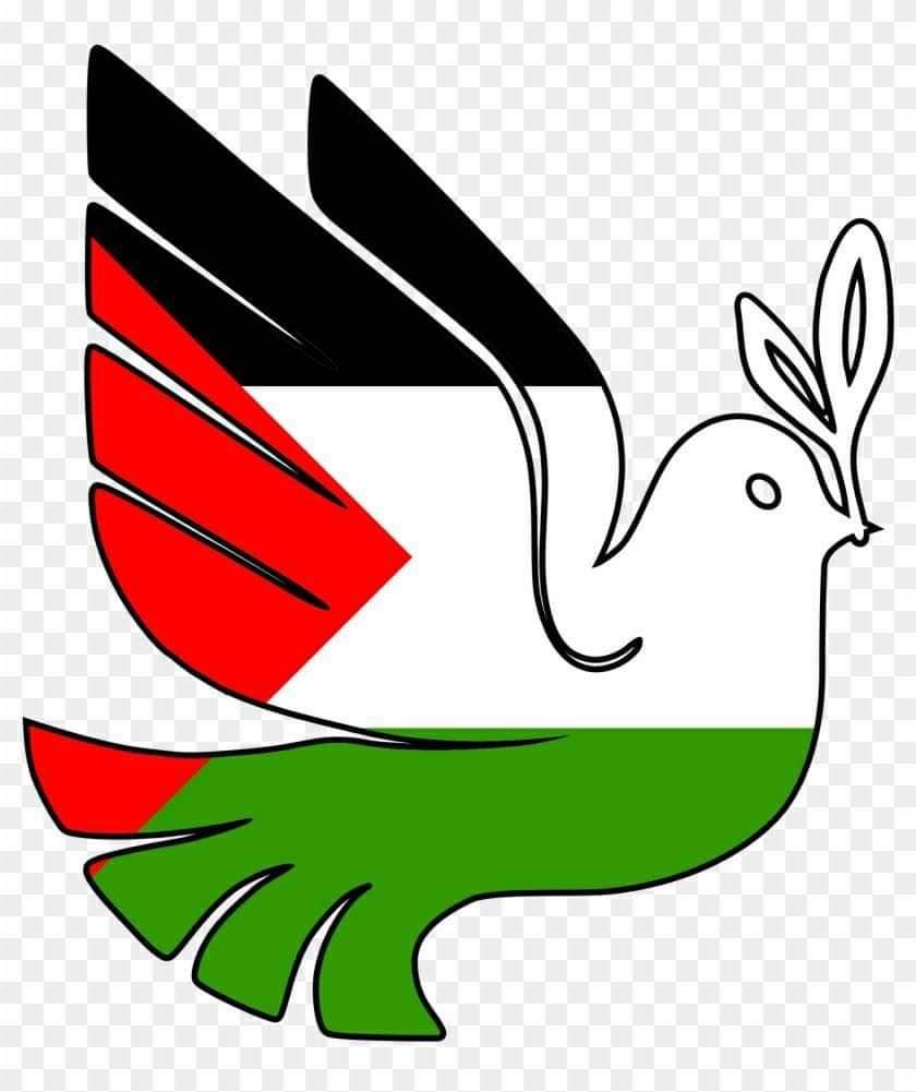 🇵🇸  𓂆  ᖴᖇᗴᗴ ᑭᗩᒪᗴSTIᑎᗴ 𓂆  🇵🇸