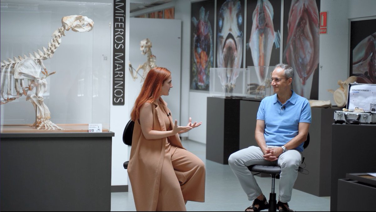 UMU Divulga tweet media