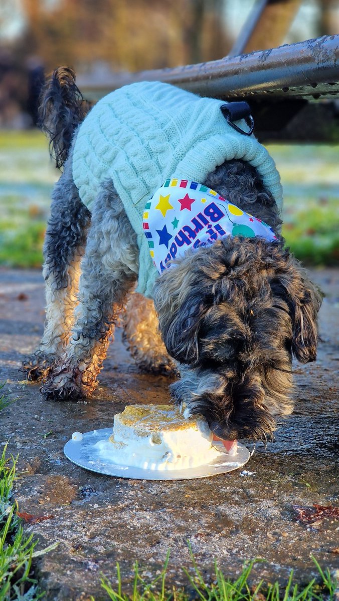 joffocakes's tweet photo. stepho made the broccoli boy a birthday cake to devour in the park 🥦 🎂 https://t.co/RJ5ZbIwWev