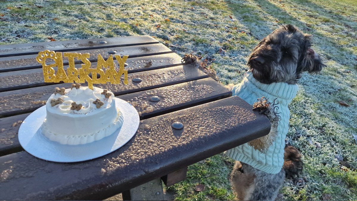 joffocakes's tweet photo. stepho made the broccoli boy a birthday cake to devour in the park 🥦 🎂 https://t.co/RJ5ZbIwWev