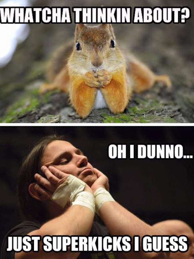 AdmireItsPurity's tweet image. This classic meme is now more relevant than ever.
@KJBlanchard1988