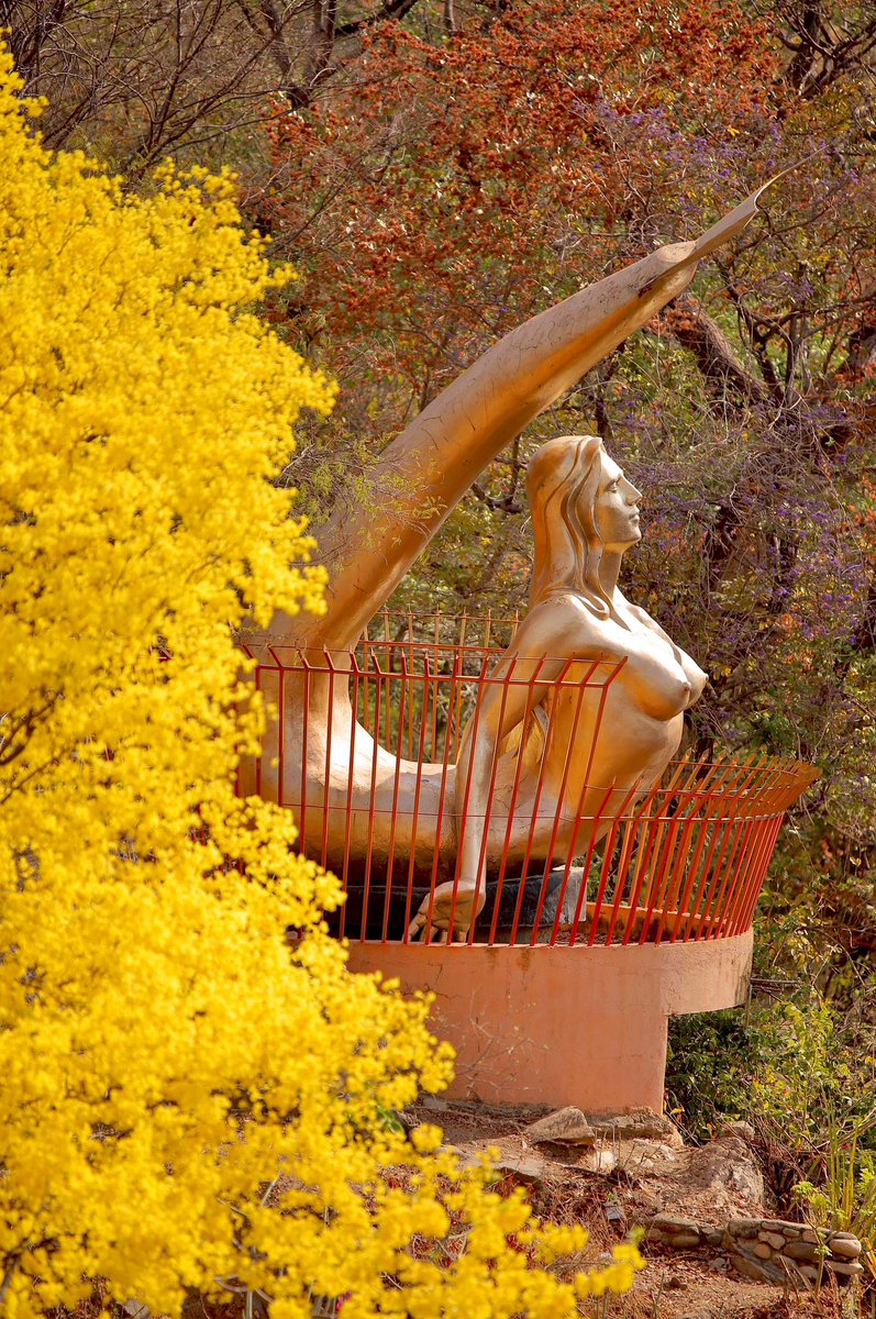 Arnol Murillo (@arnolmurillo) on Twitter photo 