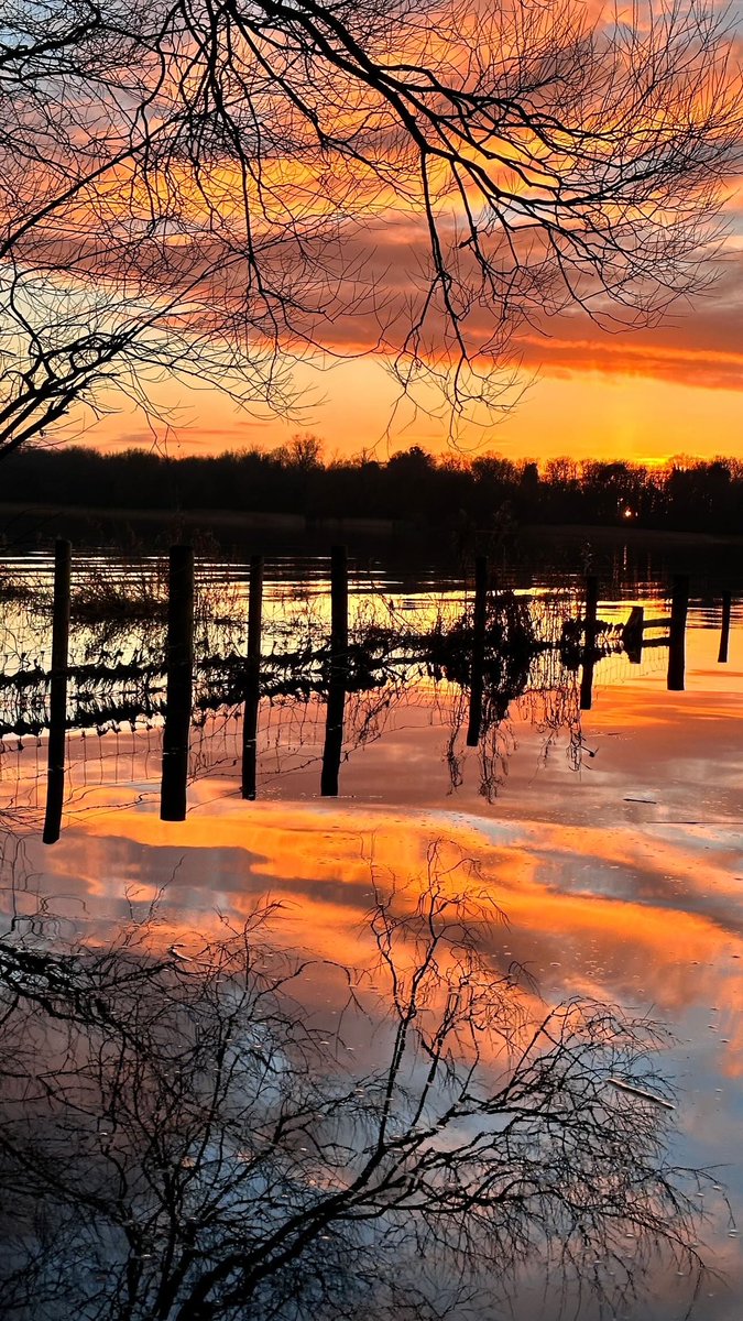 sharonwelby1's tweet photo. Stunning sunset this afternoon. The Old shoreline Oxford Island Nature Reserve #loughNeagh https://t.co/pooJ3q12N3