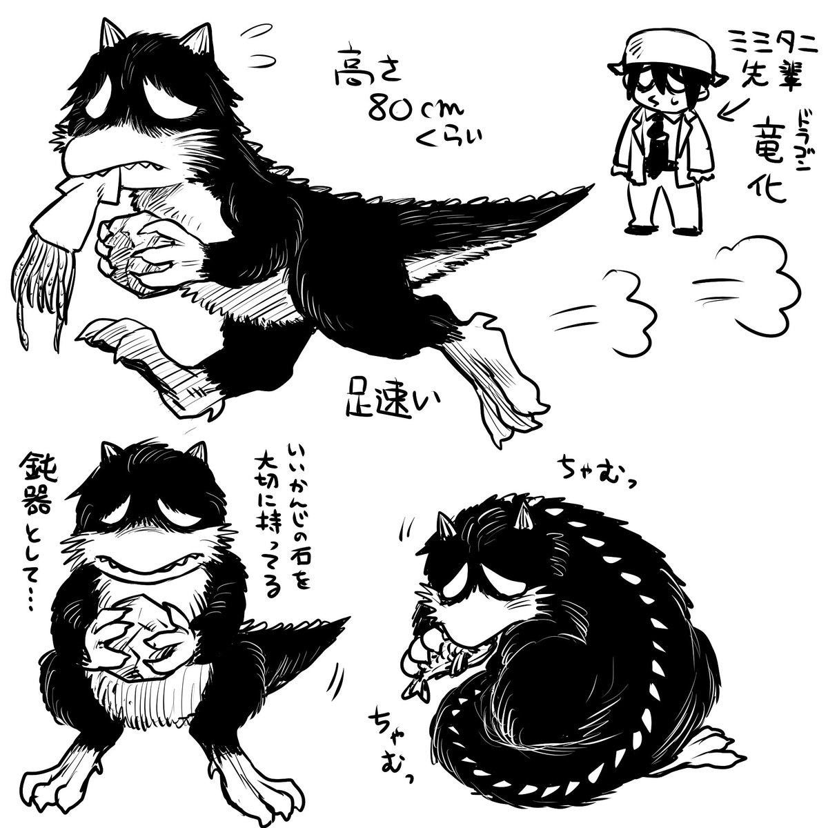 ミミタニドラゴン 