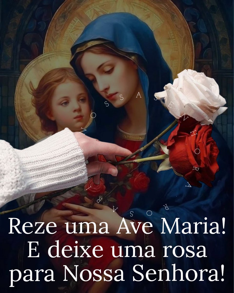 Nossa Senhora do Rosário tweet media
