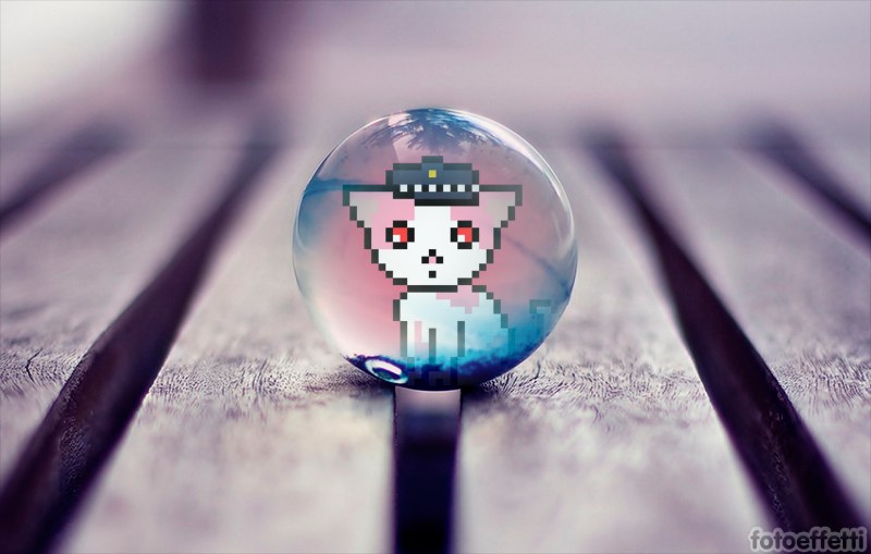 RubyKitties's tweet photo. Save a Kitty 😺
from the metaverse 💖! 

https://t.co/pmp1B3zfOE
10k unique Kitties
Join an accesible and affordable #NFTCommunity 

#rubykitties #NFT #PolygonNFT https://t.co/ZN5lQ9WmhC