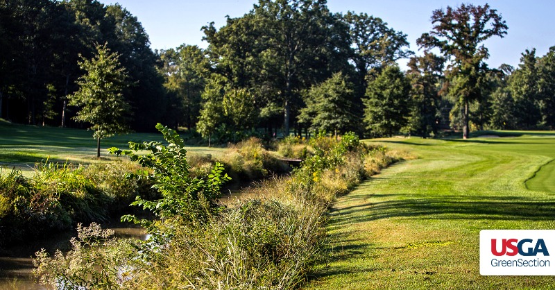 USGAGrnSection's tweet photo. Being a little “rough around the edges” can be a good thing for a golf course, especially when it comes to buffers around bodies of water #GSRrewind 👇