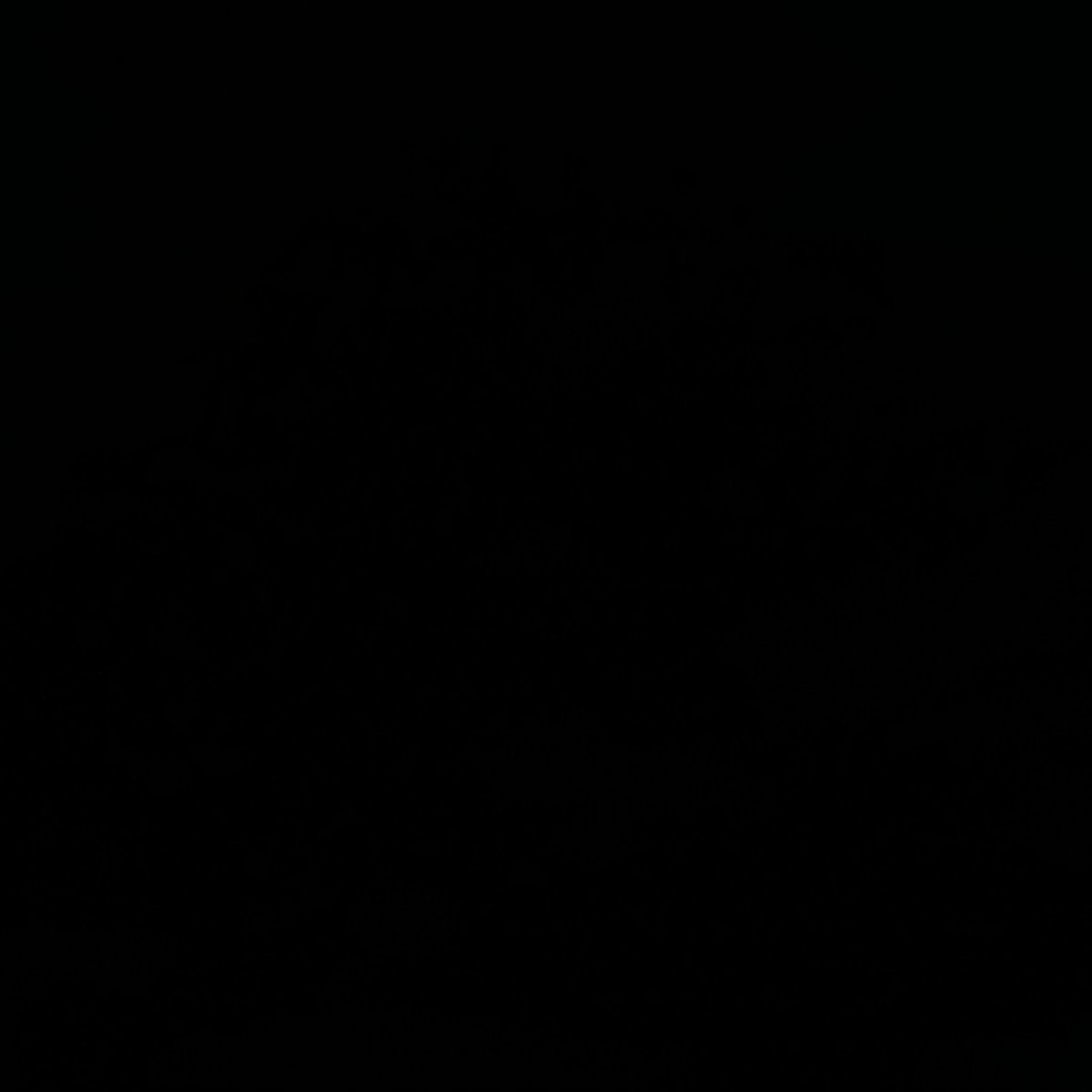 angethis's tweet photo. alguns dos melhores momentos de guapoduo + richas construindo as salas de morte e energia; uma thread pra relembrar alguns momentos dessa família https://t.co/gBrb5yfbn2