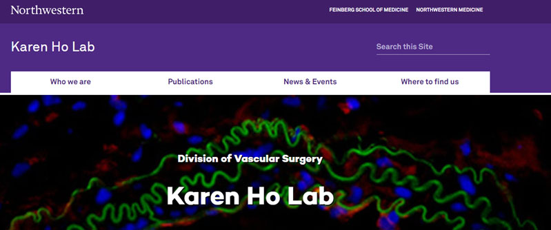 karenholab's tweet image. Are you interested in the human microbiome and vascular disease?
We're recruiting postdoctoral fellows!
Learn more on our website:
sites.northwestern.edu/karenholab/
#vascular #vascularsurgery #microbiome #gutmicrobiome